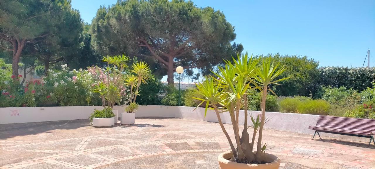 Studio Cap D'Agde La Grande Voile Εξωτερικό φωτογραφία