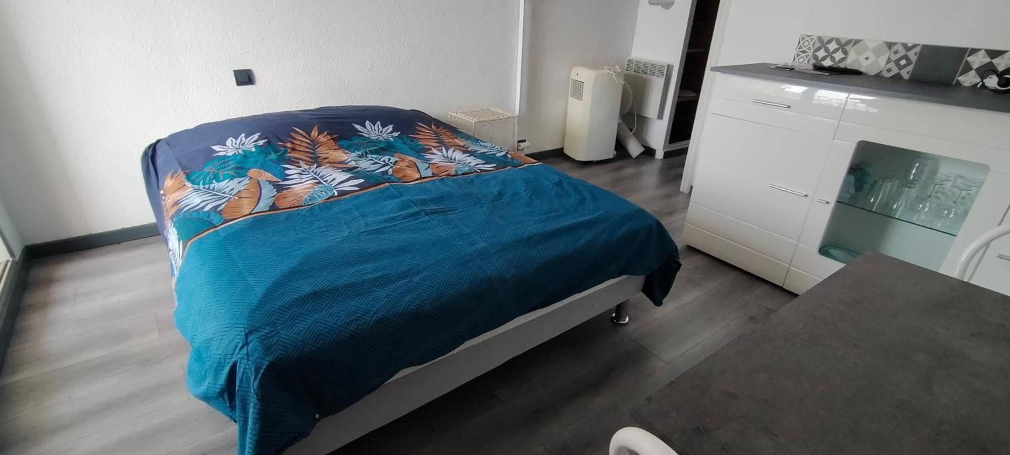 Studio Cap D'Agde La Grande Voile Εξωτερικό φωτογραφία